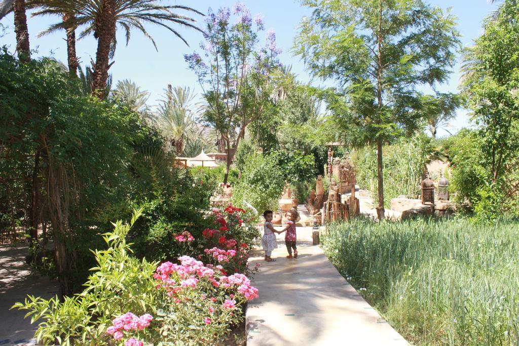 Ecolodge Bab El Oued Maroc Oasis Agdz Exterior foto
