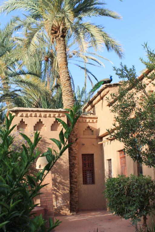 Ecolodge Bab El Oued Maroc Oasis Agdz Quarto foto