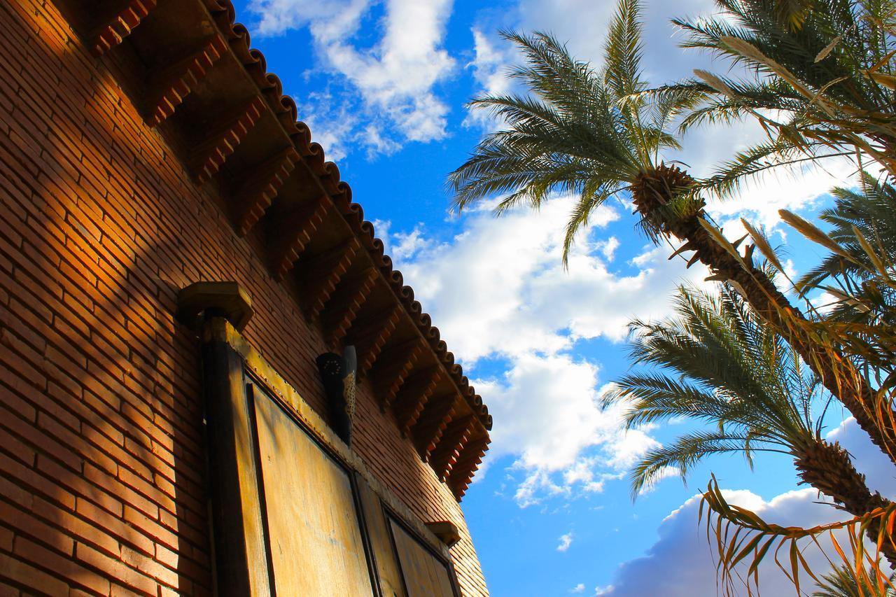 Ecolodge Bab El Oued Maroc Oasis Agdz Exterior foto